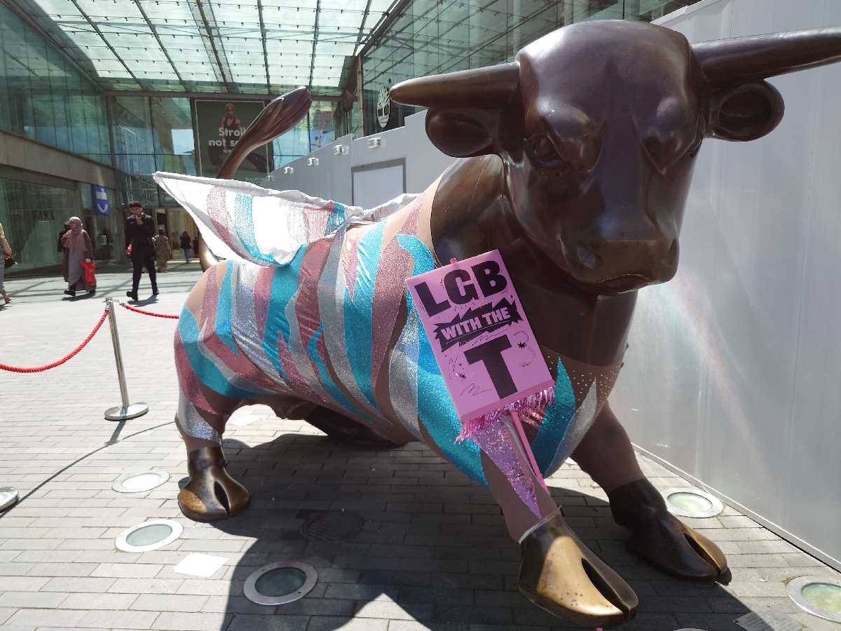 Birmingham Pride Bull 2023