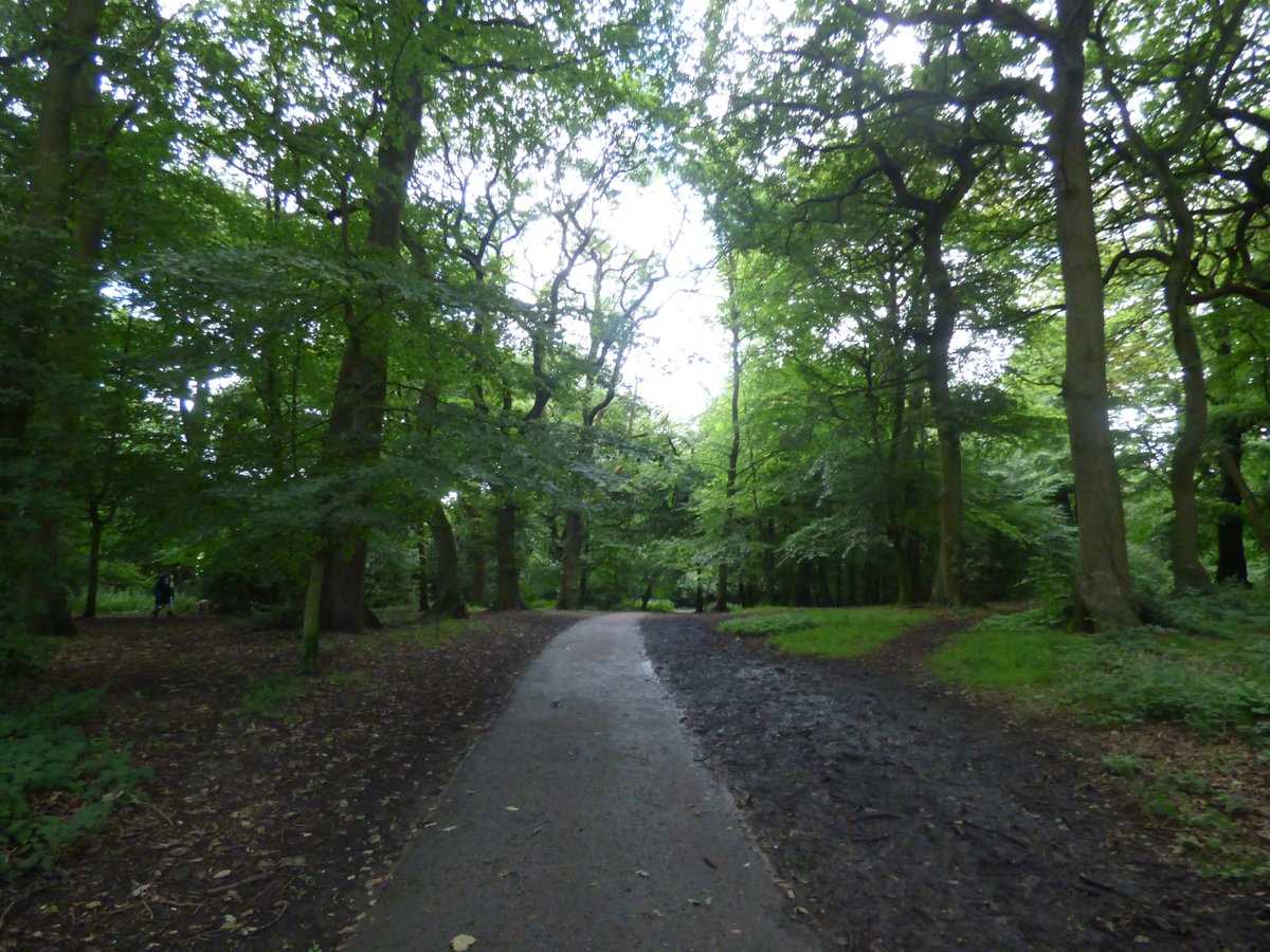 Great green spaces around Birmingham - this at Warley Woods